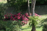 parc floral d'apremont