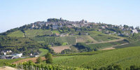 vignobles de sancerres